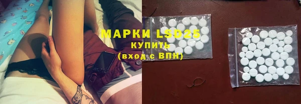 ПСИЛОЦИБИНОВЫЕ ГРИБЫ Алзамай