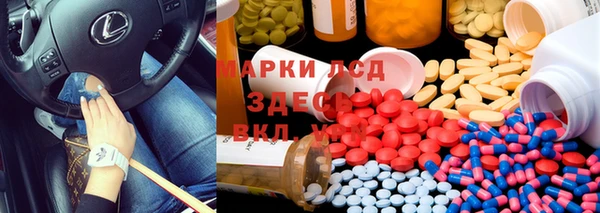 ПСИЛОЦИБИНОВЫЕ ГРИБЫ Алзамай