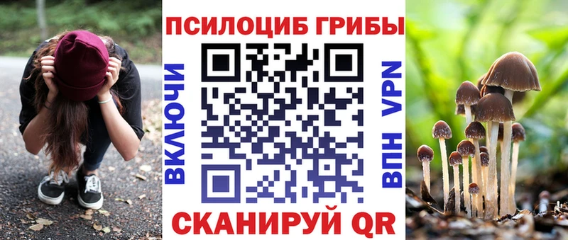 наркота  mega зеркало  Псилоцибиновые грибы Psilocybine cubensis  Черемхово 