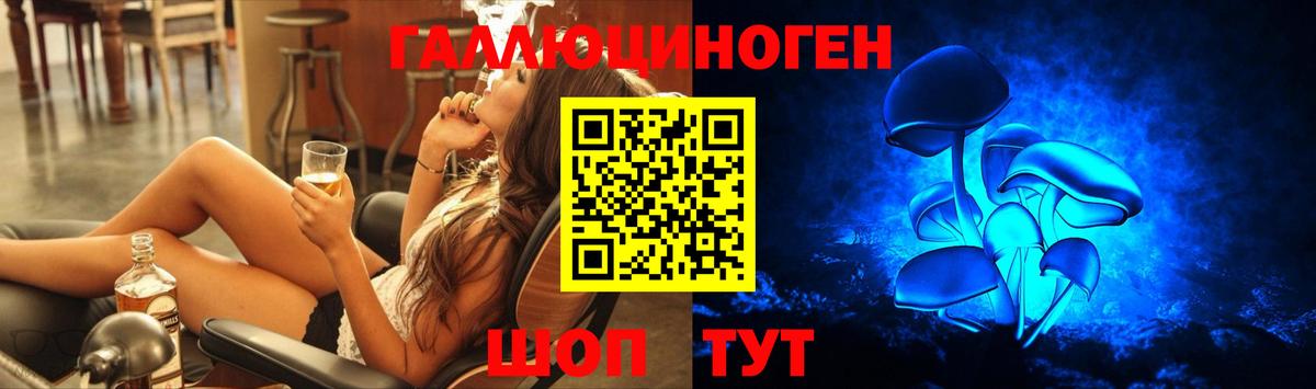 Черемхово  Галлюциногенные грибы Psilocybine cubensis  Вход с VPN 
